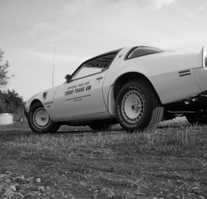 US Cars - Trans Am-Pace Car